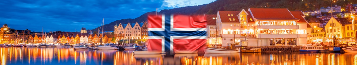 Norveç Vizesi Başvurusu