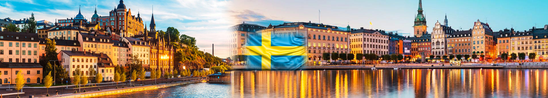 İsveç vize başvuru formu