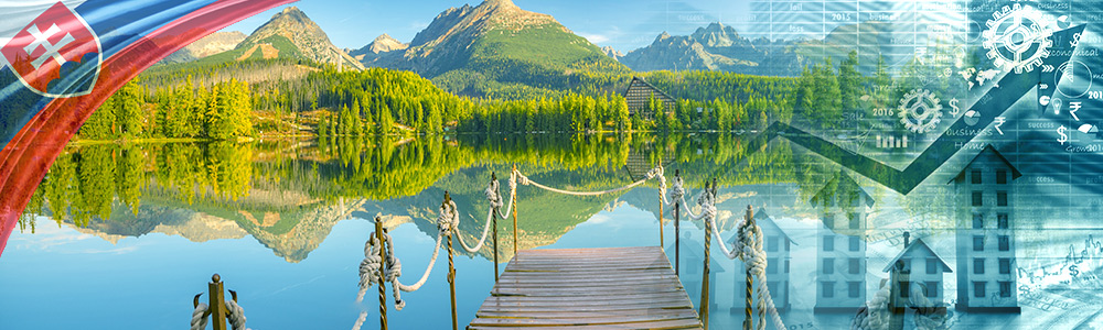 Slovakya Ticari Vize